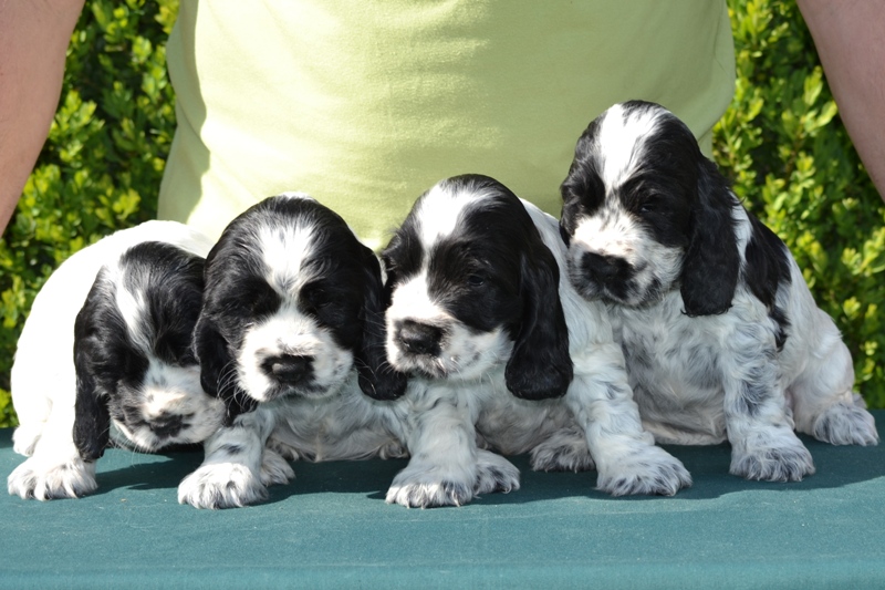 22-Habi, Hanny, Hart, Haidi.JPG